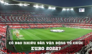 Có bao nhiêu sân vận động tổ chức Euro 2022